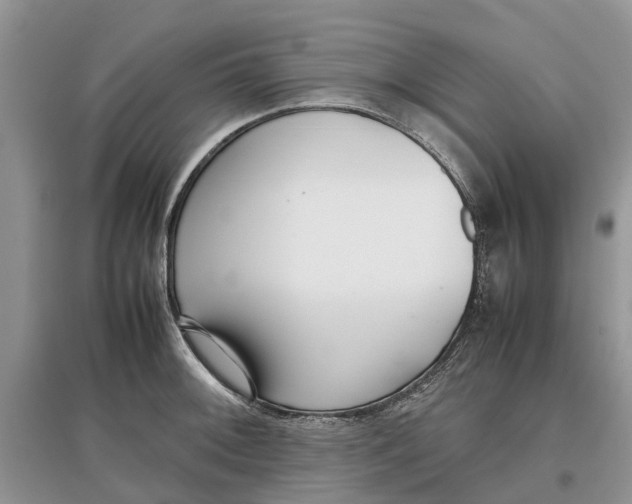 X0000097301092200803071747