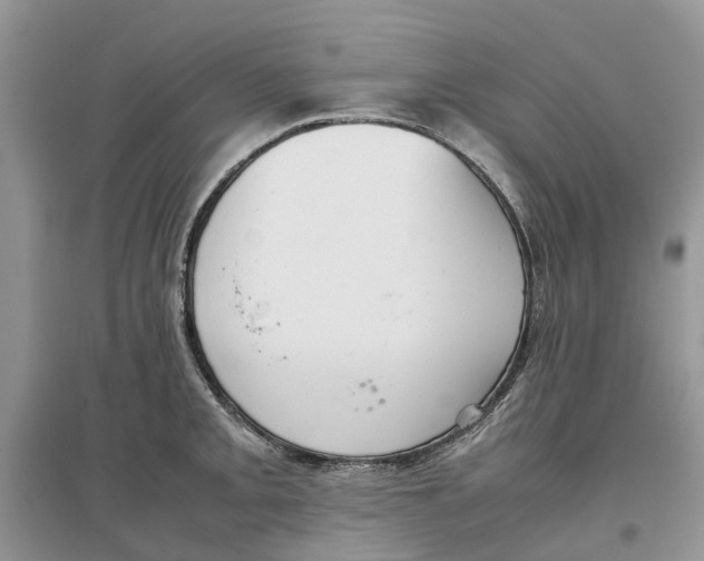 X0000097301093200803071747