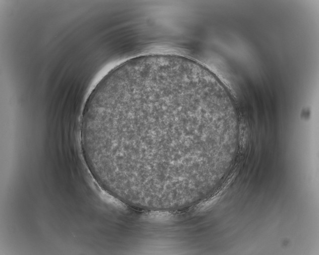 X0000097301094200803071747