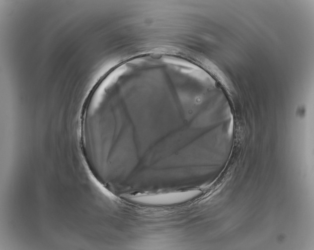 X0000097301095200803071747