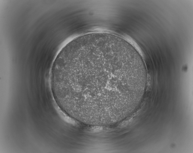 X0000097301098200803071747