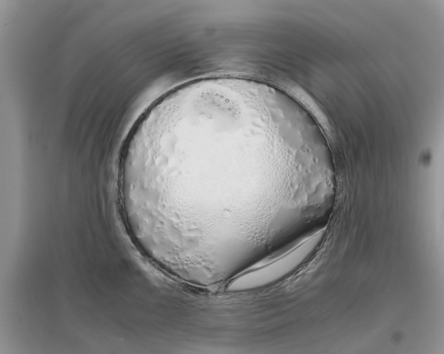 X0000097301099200803071747