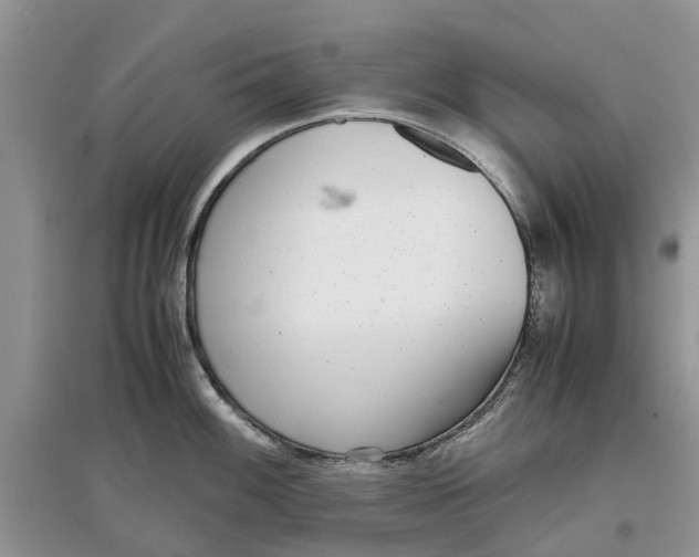 X0000097301100200803071747