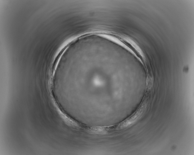 X0000097301101200803071747