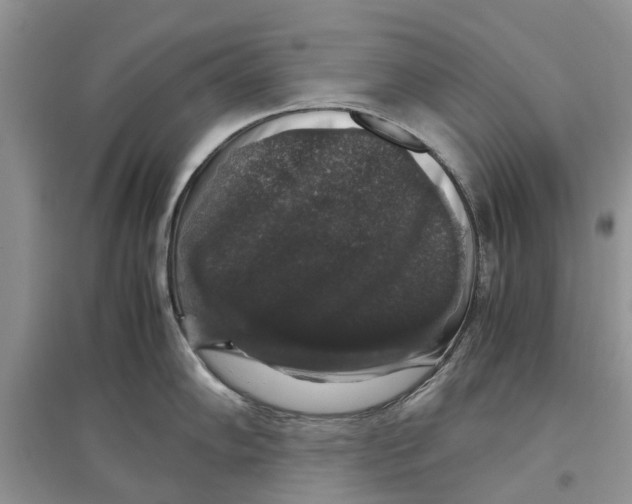 X0000097301102200803071747