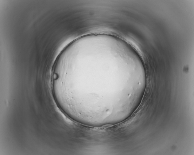 X0000097301103200803071747