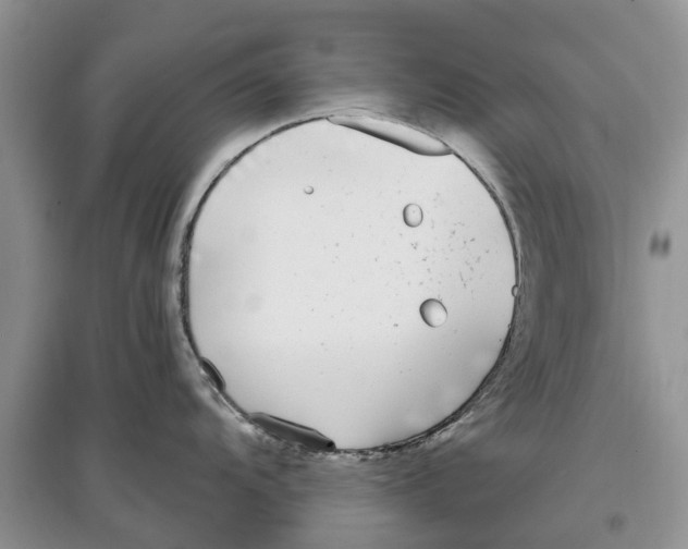 X0000097301104200803071747