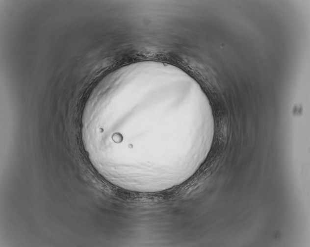 X0000097301105200803071747