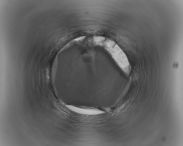 X0000097301106200803071747