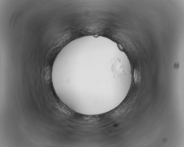 X0000097301107200803071747