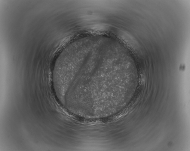 X0000097301108200803071747