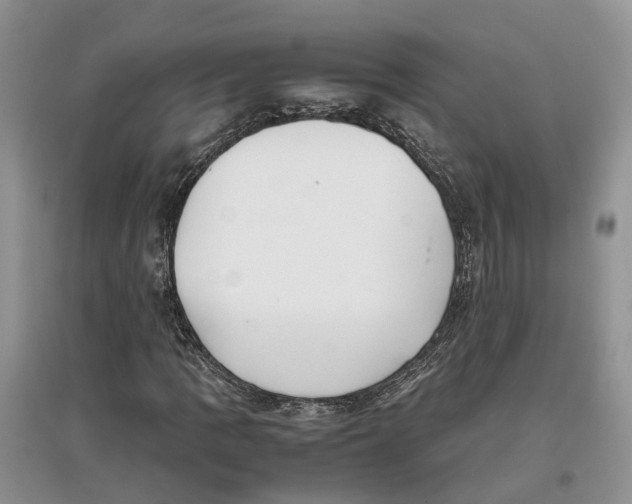 X0000097301109200803071747