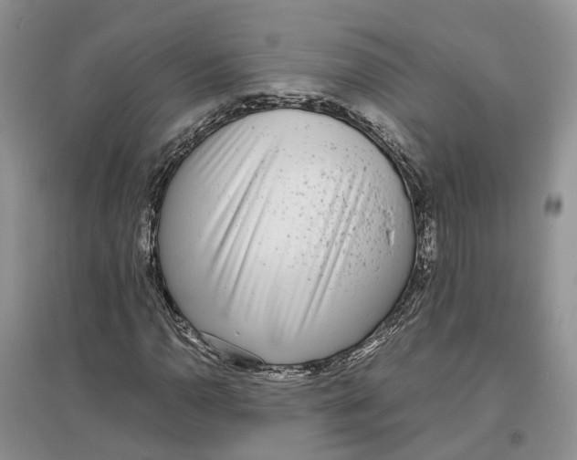 X0000097301110200803071747