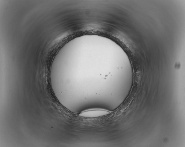 X0000097301111200803071747