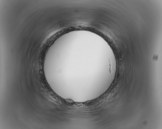 X0000097301112200803071747