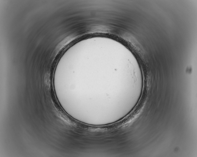 X0000097301113200803071747