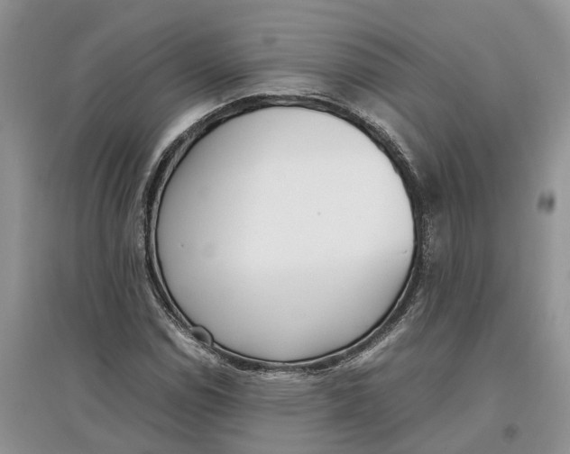 X0000097301114200803071747