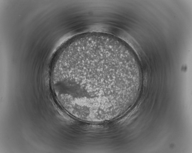 X0000097301115200803071747