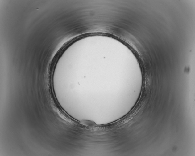 X0000097301116200803071747