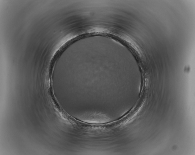 X0000097301117200803071747