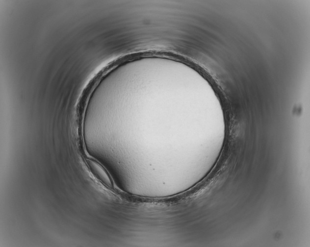 X0000097301118200803071747