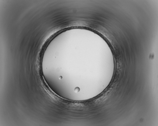 X0000097301119200803071747