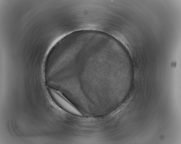 X0000097301120200803071747