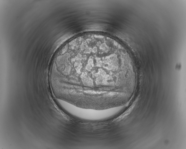 X0000097301121200803071747