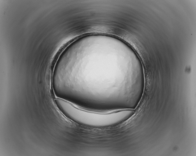 X0000097301123200803071747