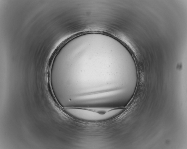 X0000097301124200803071747