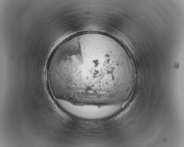 X0000097301125200803071747