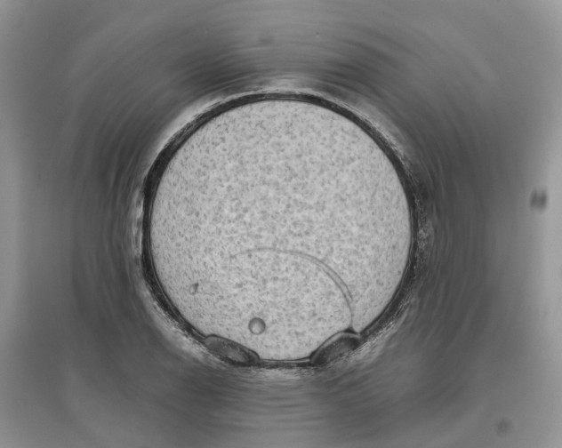 X0000097301126200803071747