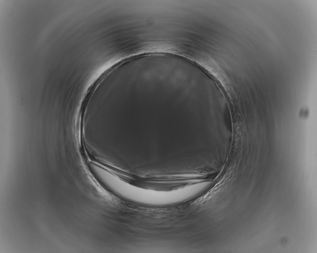 X0000097301127200803071747