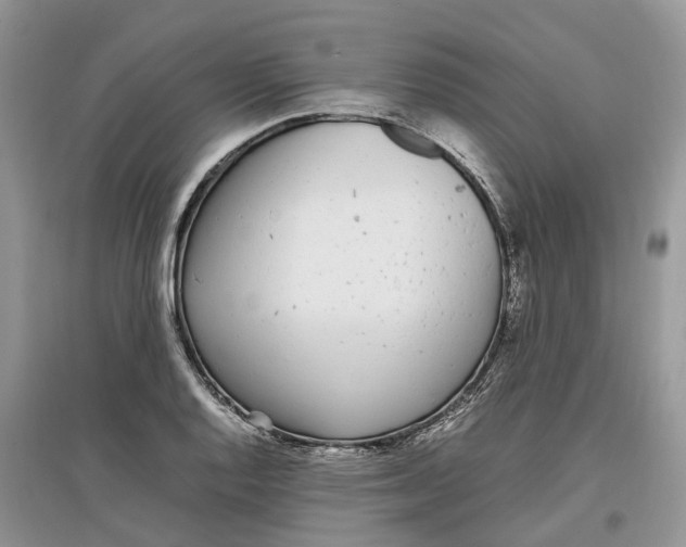 X0000097301128200803071747