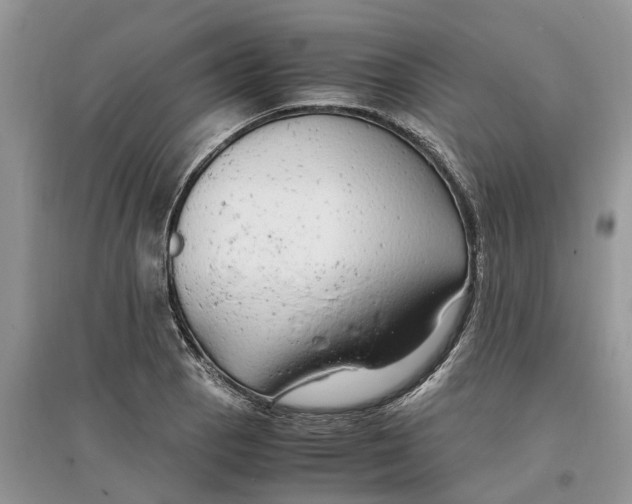 X0000097301129200803071747