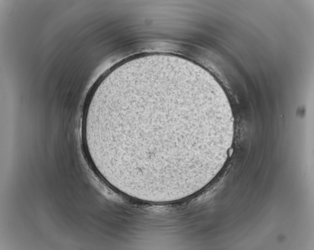 X0000097301130200803071747