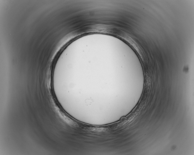 X0000097301131200803071747