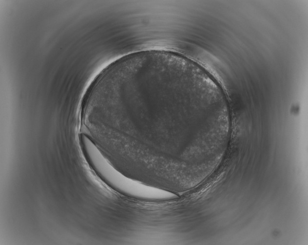 X0000097301132200803071747