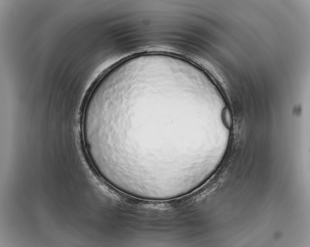 X0000097301133200803071747