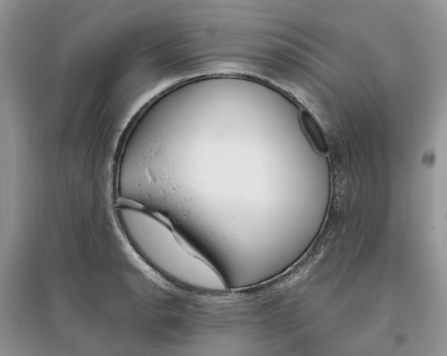 X0000097301134200803071747