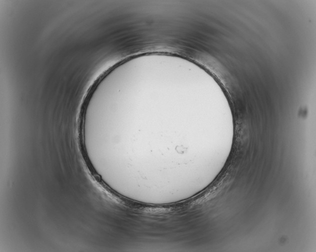 X0000097301135200803071747