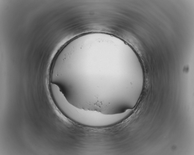 X0000097301136200803071747