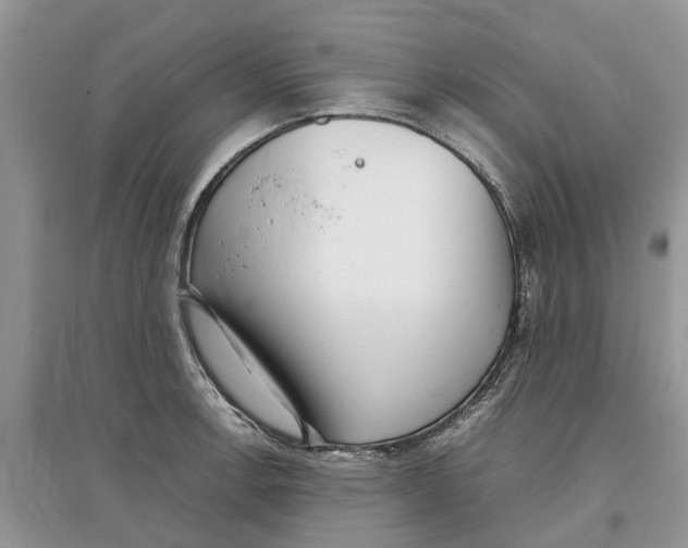 X0000097301138200803071747