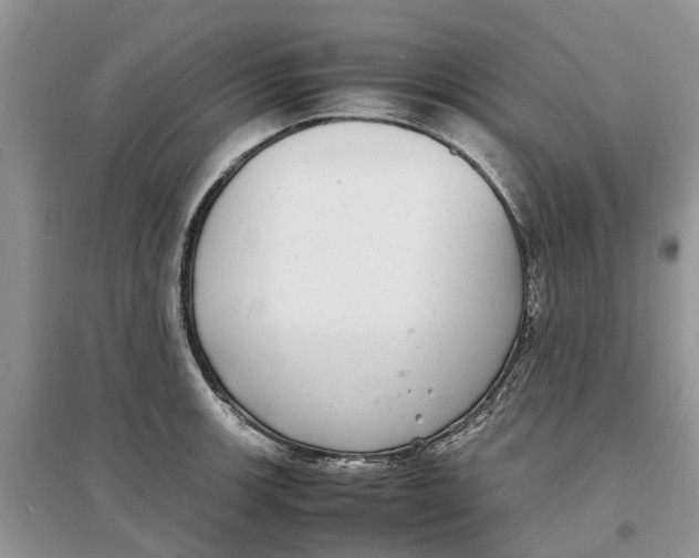 X0000097301139200803071747