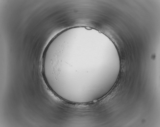 X0000097301140200803071747