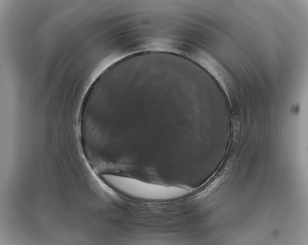 X0000097301141200803071747