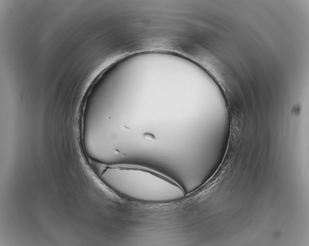 X0000097301142200803071747