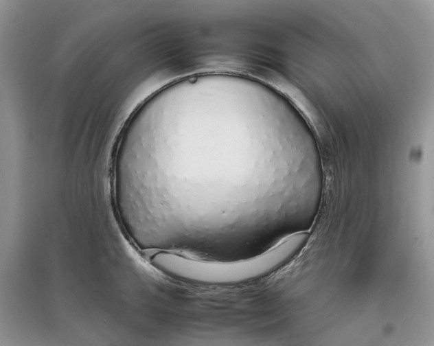 X0000097301143200803071747