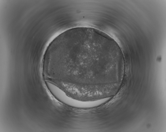 X0000097301144200803071747