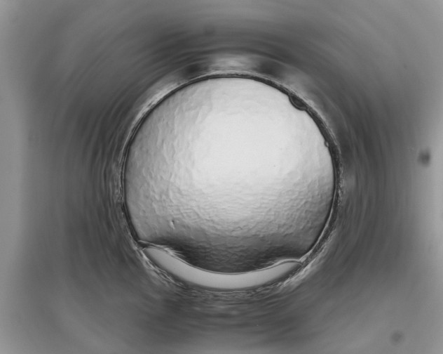 X0000097301145200803071747